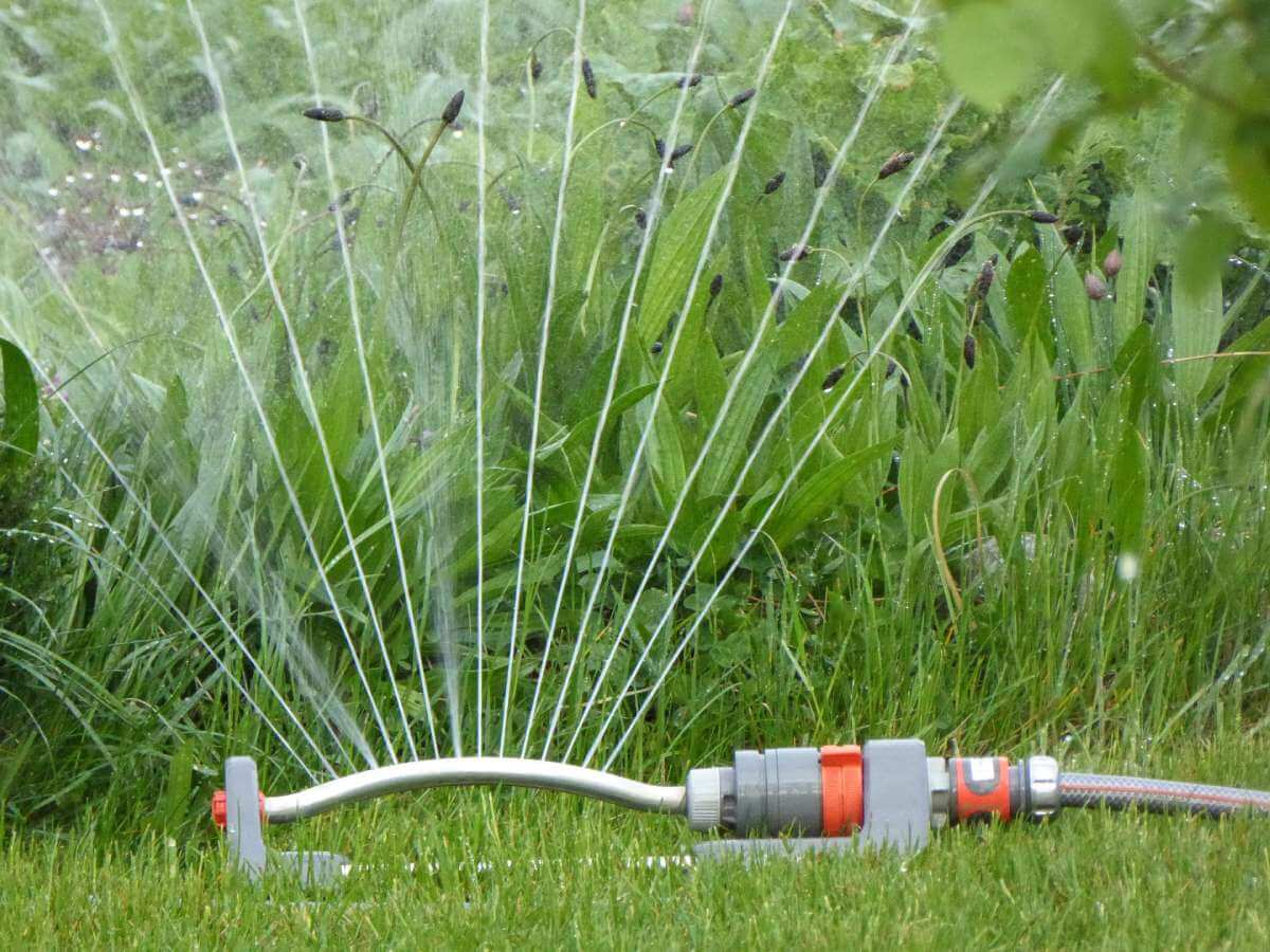 Adjusting Sprinkler Settings for Summer | American Arbor Care