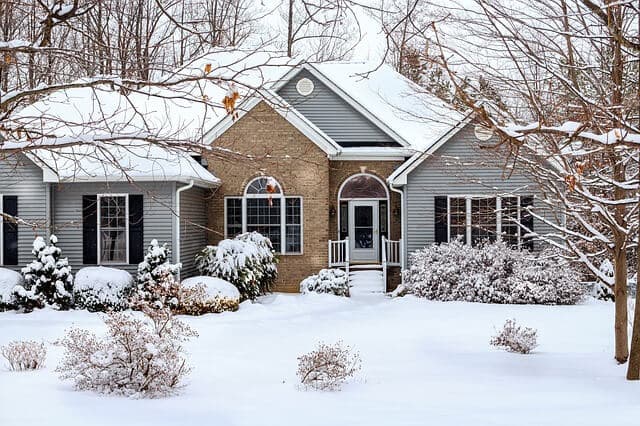 Importance of Winter Pruning | American Arbor Care