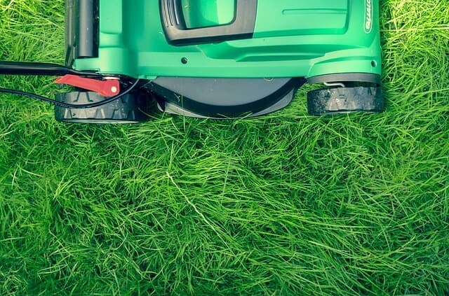 Lawn Care Tools and Equipment Maintenance Tips | American Arbor Care