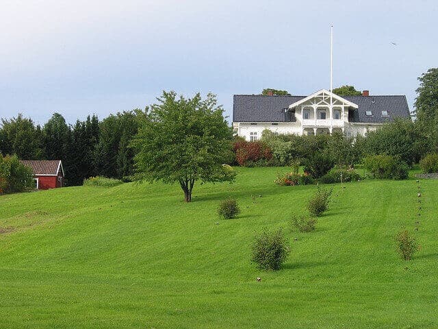 How to Plant New Trees | American Arbor Care