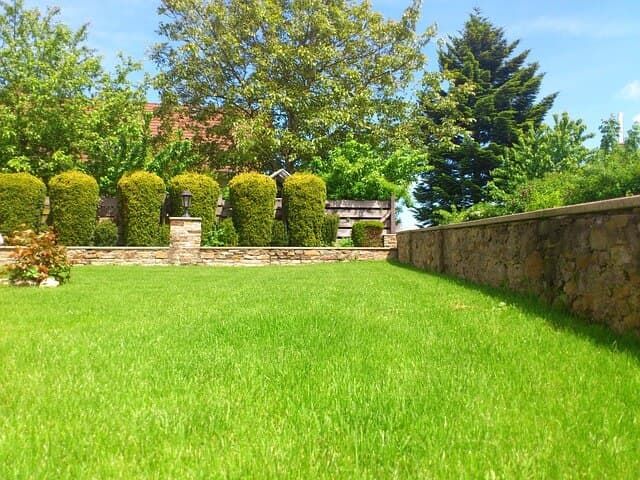 Process to Landscaping Trees and Shrubs | American Arbor Care