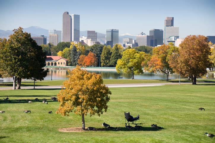 Best time to plant a tree in denver