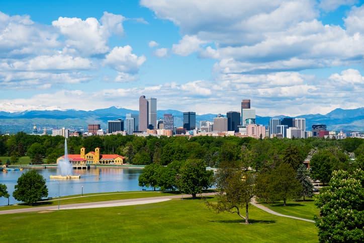 Best Trees In Denver - American Arbor Care