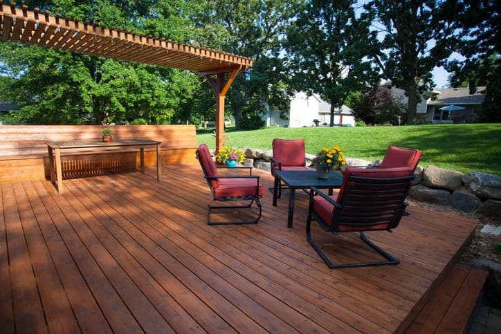 Trees to Shade Your Home in Denver
