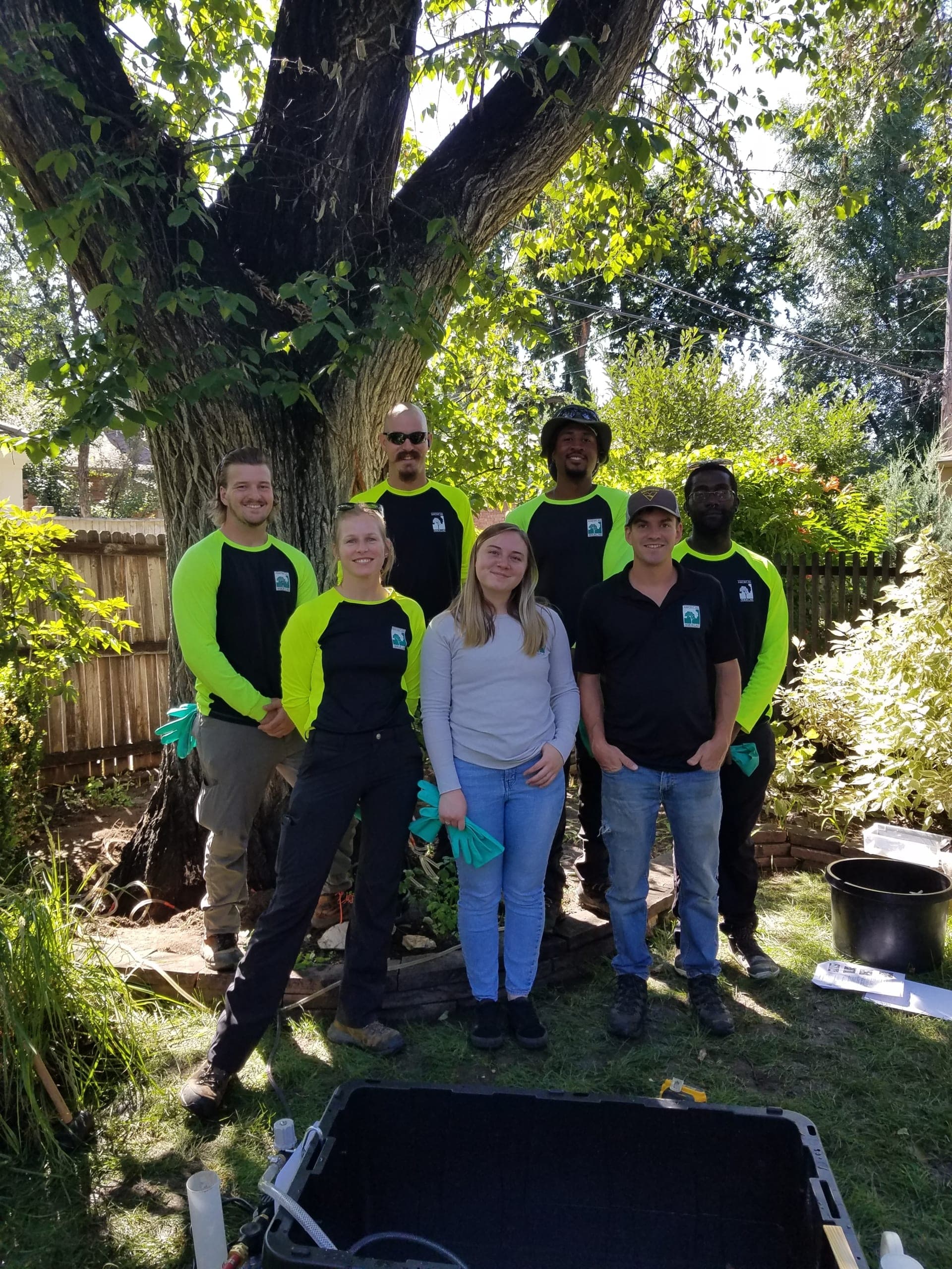 American Arbor Care team during treatment training