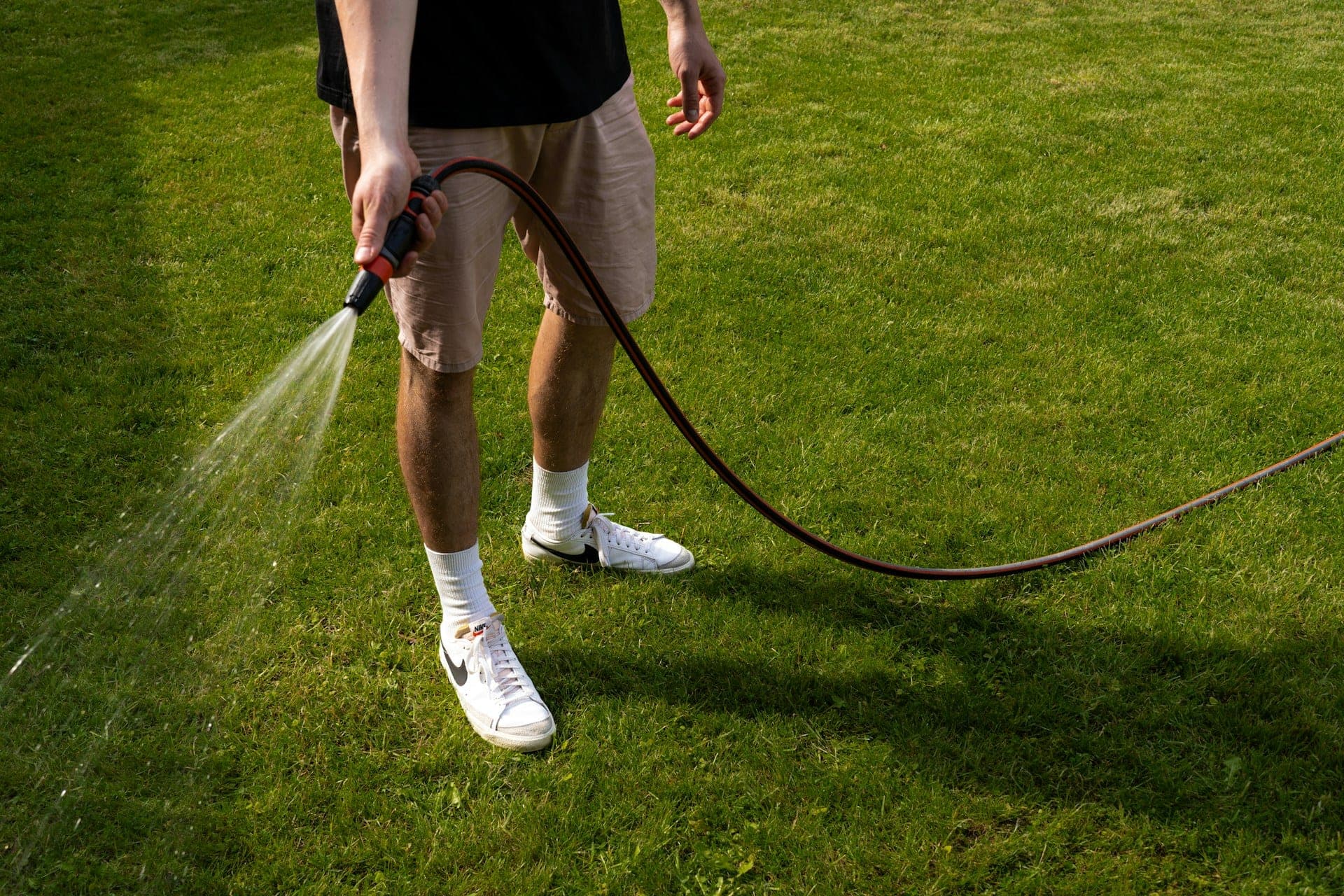 Denver Lawn Care Guide