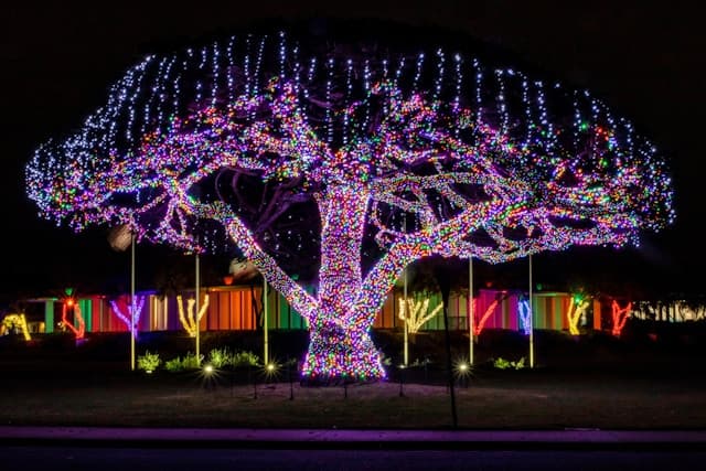Professional Christmas Light Installation