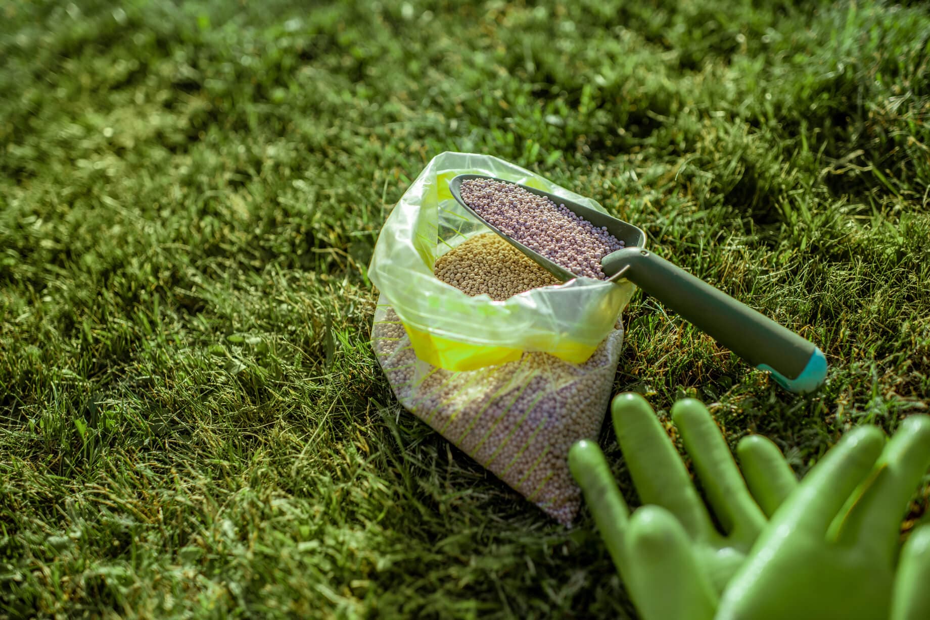 Bag of fertilizer, scoop and gardening gloves on a lawn
