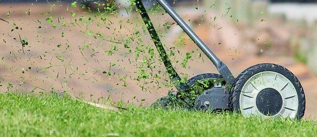Your Summer Seasonal Checklist for Your Lawn and Tree Landscaping in Denver