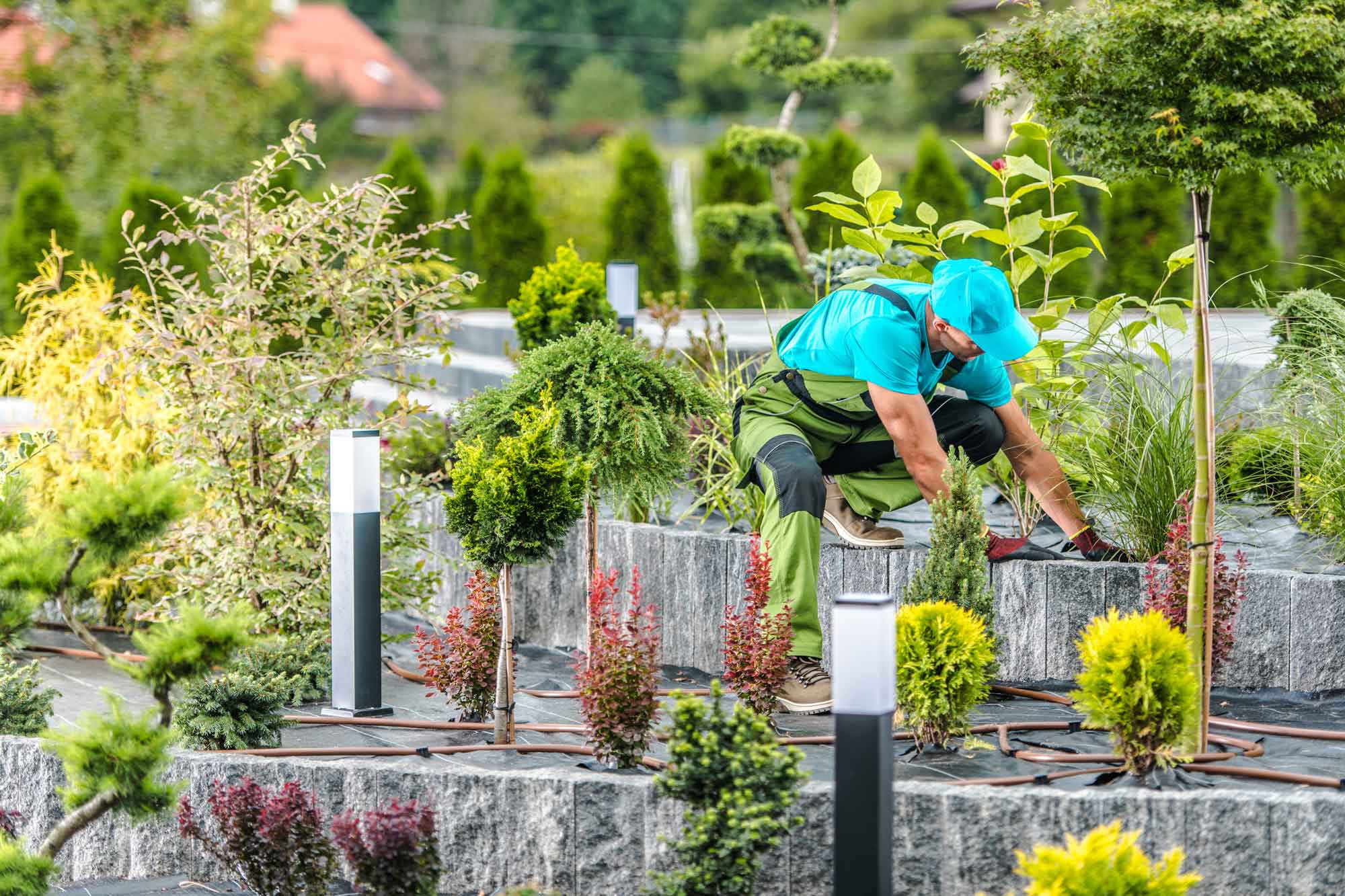 How to Incorporate Sustainable Landscaping Practices in Your Denver Yard