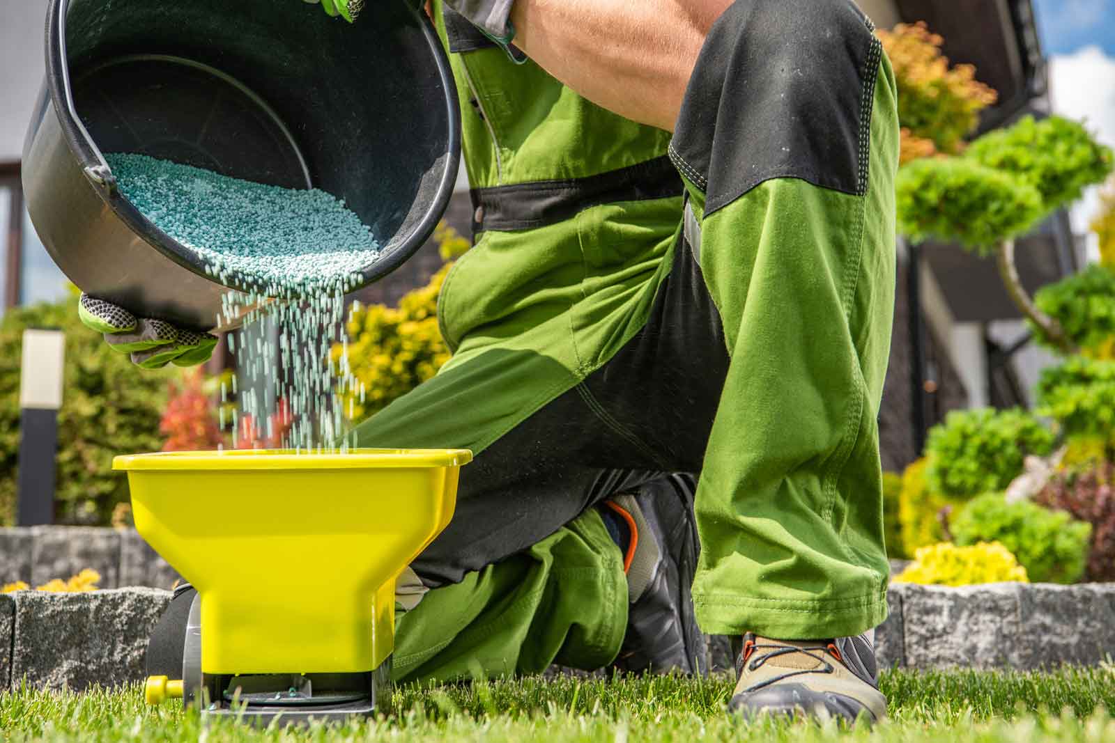 Lawn Fertilizers: How They Impact Trees and Shrubs